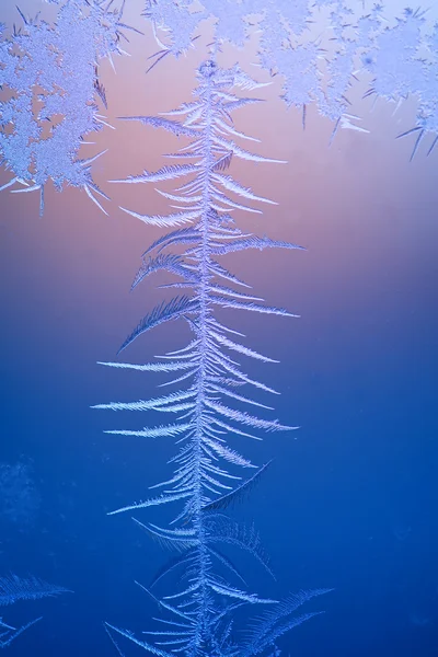 Beautiful frost pattern on window Royalty Free Stock Photos