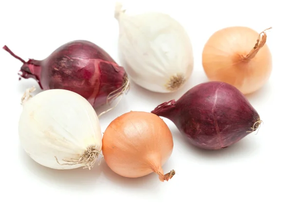 Mini cebollas aisladas en blanco — Foto de Stock