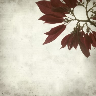 desenli eski kağıt arkaplan