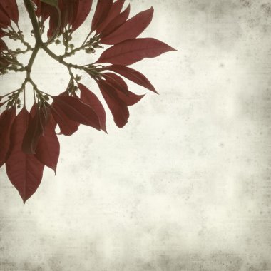 desenli eski kağıt arkaplan