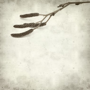 desenli eski kağıt arkaplan