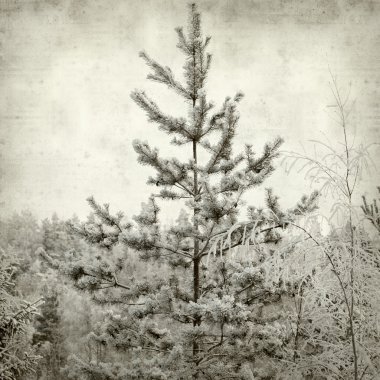 desenli eski kağıt arkaplan