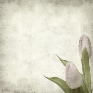 desenli eski kağıt arkaplan