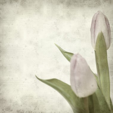 desenli eski kağıt arkaplan