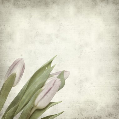 desenli eski kağıt arkaplan