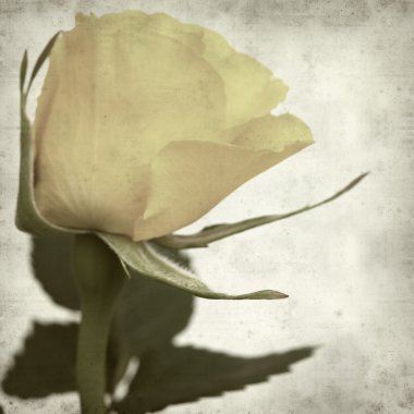 desenli eski kağıt arkaplan