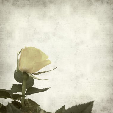 desenli eski kağıt arkaplan