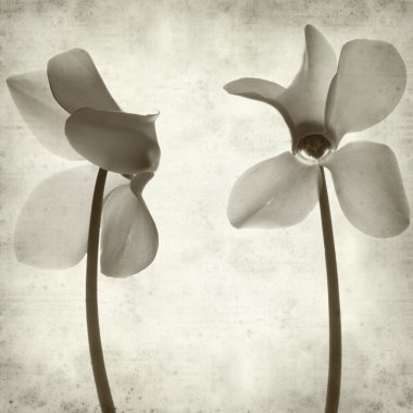 desenli eski kağıt arkaplan