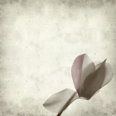 desenli eski kağıt arkaplan