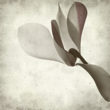 desenli eski kağıt arkaplan