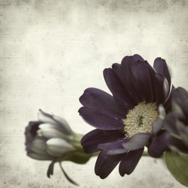 desenli eski kağıt arkaplan