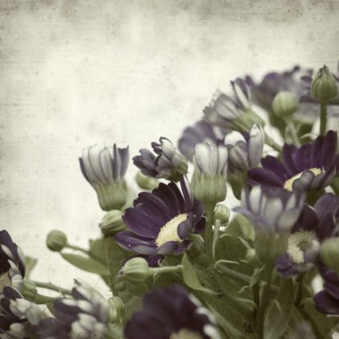 desenli eski kağıt arkaplan