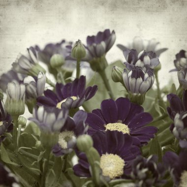 desenli eski kağıt arkaplan