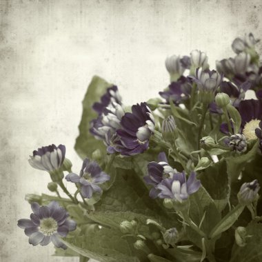 desenli eski kağıt arkaplan