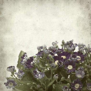 desenli eski kağıt arkaplan