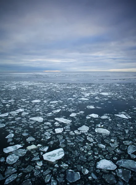 Drift ice — Stock Photo, Image