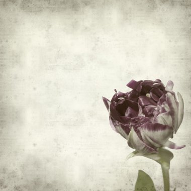 desenli eski kağıt arkaplan