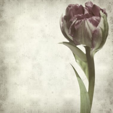 desenli eski kağıt arkaplan  