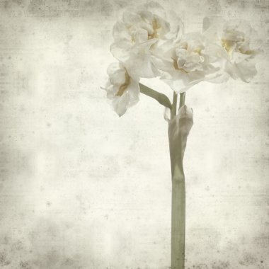 desenli eski kağıt arkaplan