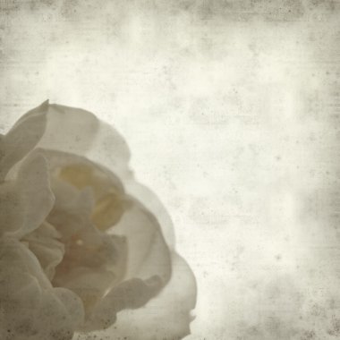 desenli eski kağıt arkaplan  