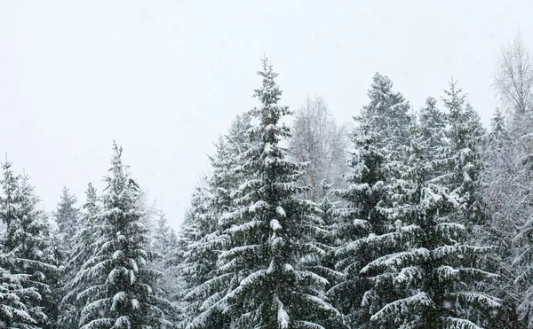 Zware sneeuwval — Stockfoto