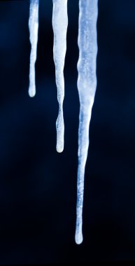 차가워요 자연 배경