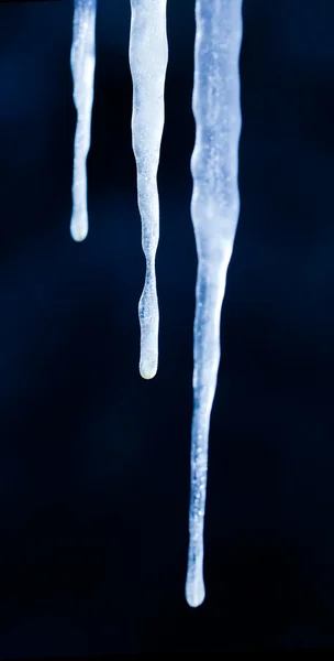 Eiszapfen natürlicher Hintergrund — Stockfoto