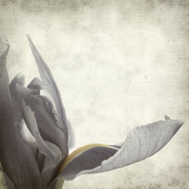 desenli eski kağıt arkaplan