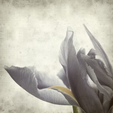 desenli eski kağıt arkaplan