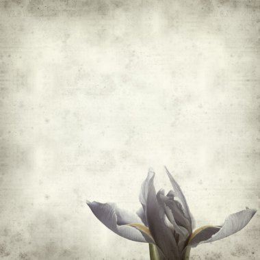 desenli eski kağıt arkaplan