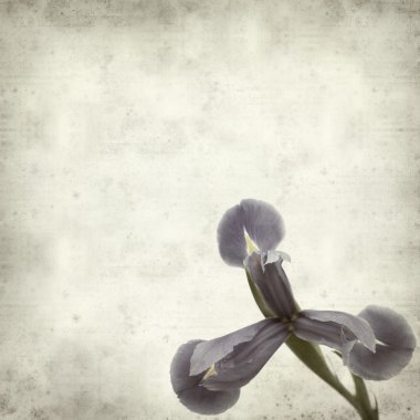 desenli eski kağıt arkaplan