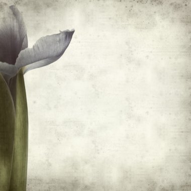 desenli eski kağıt arkaplan  