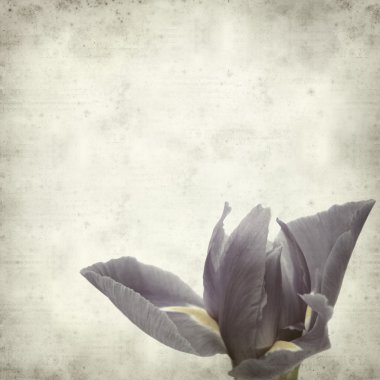 desenli eski kağıt arkaplan  