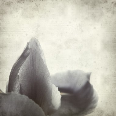 desenli eski kağıt arkaplan  