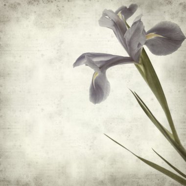 desenli eski kağıt arkaplan  