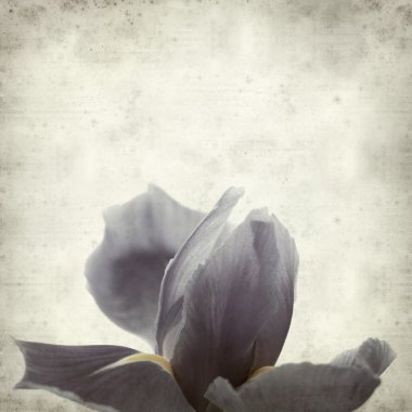 desenli eski kağıt arkaplan  