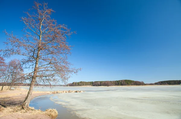 Southern Finland, early spring — Stock Photo, Image