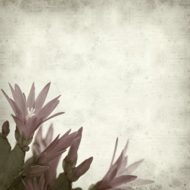 desenli eski kağıt arkaplan  