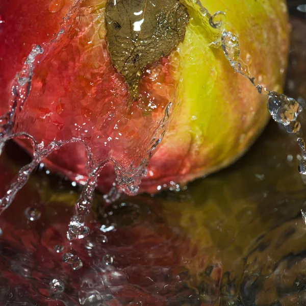 Wassen apple — Stockfoto