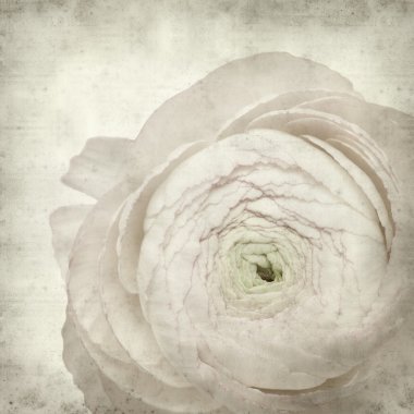 desenli eski kağıt arkaplan