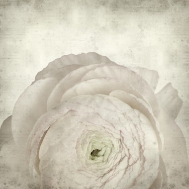 desenli eski kağıt arkaplan  