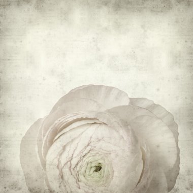 desenli eski kağıt arkaplan  