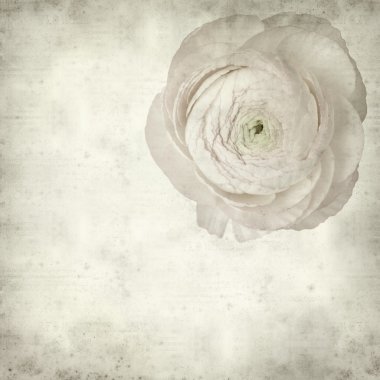 desenli eski kağıt arkaplan  