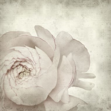 desenli eski kağıt arkaplan  