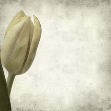 desenli eski kağıt arkaplan  