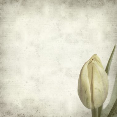 desenli eski kağıt arkaplan  