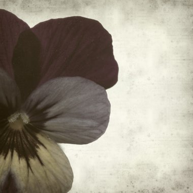 desenli eski kağıt arkaplan  