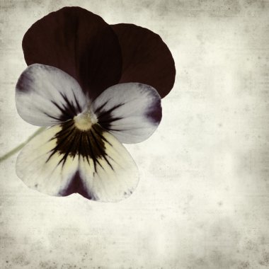 eski kağıt arka plan ile dokulu 