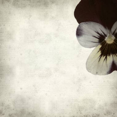 eski kağıt arka plan ile dokulu 