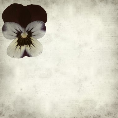 eski kağıt arka plan ile dokulu 